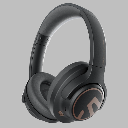 Hybrid Active Noise Cancelling Headphone